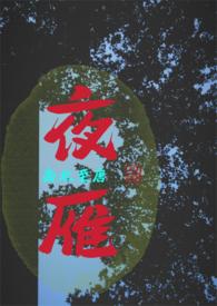 夜雁的歌声(悬疑)