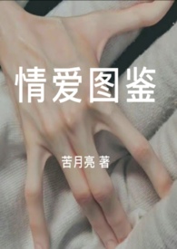情爱图鉴(H合集)